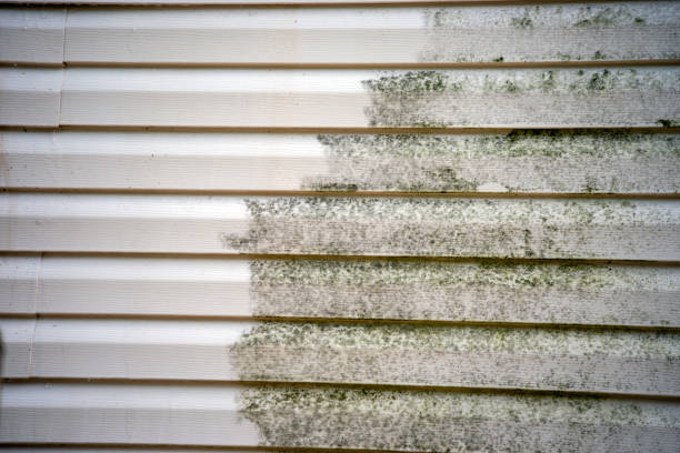 Best Furniture Removal  in North Fond Du Lac, WI